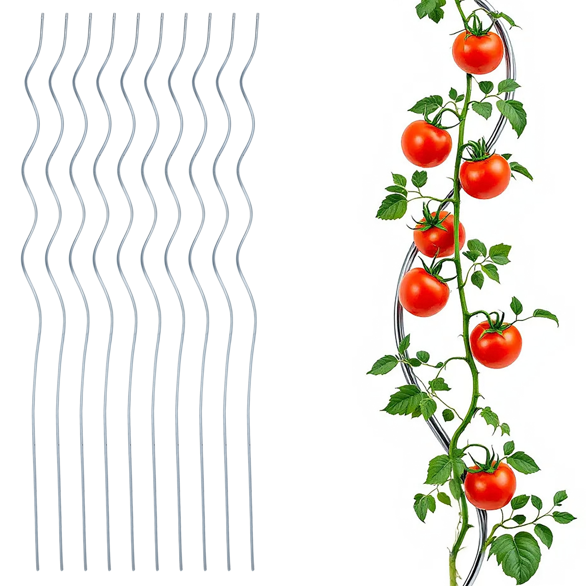 Tomaten Spiralstab verzinkt 110 cm - 10er Set - Metall Rankstab für Tomatenpflanzen