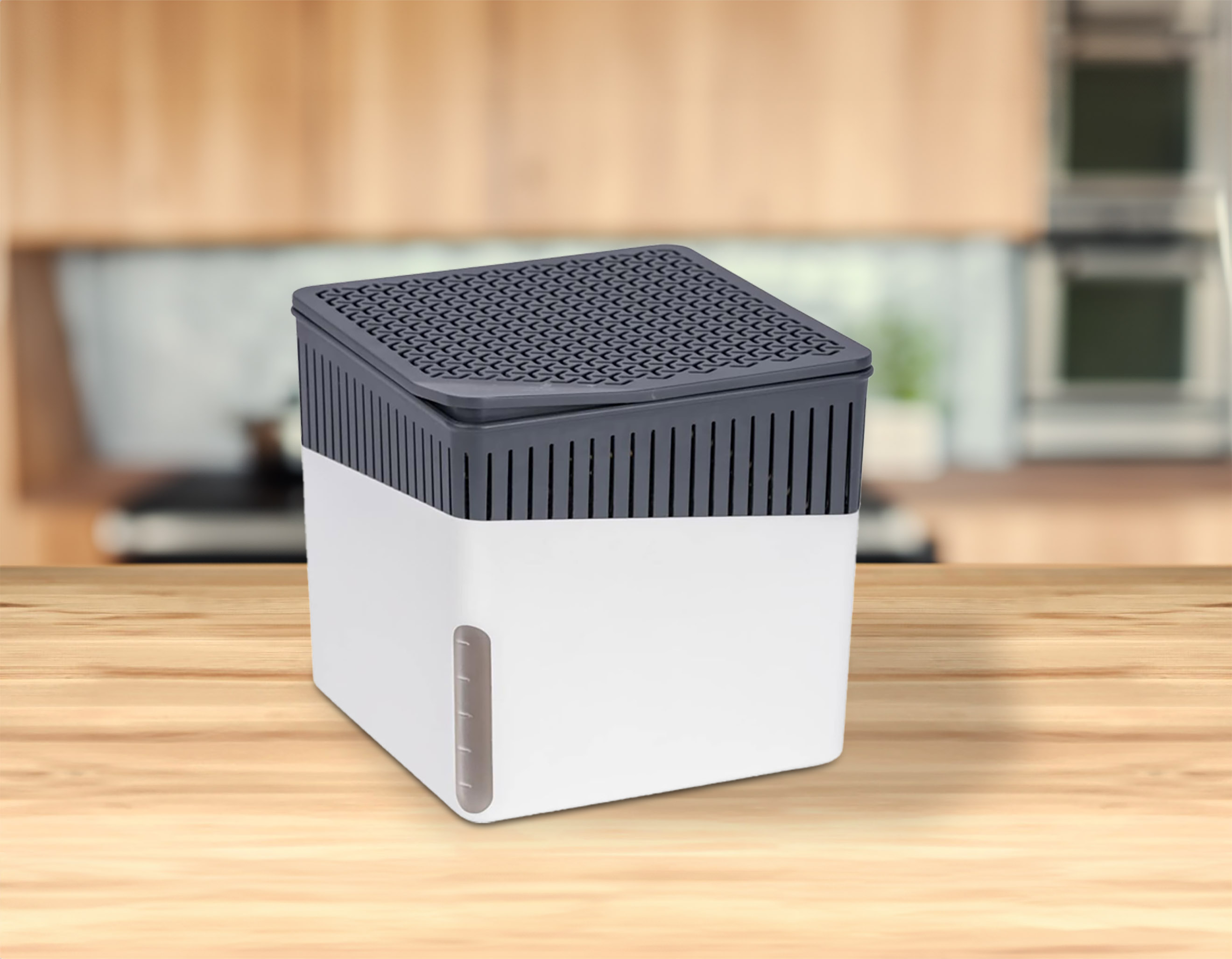 WENKO Entfeuchter Box für 40qm - 1x Box + 500g Granulat - Raum Luft Trockner